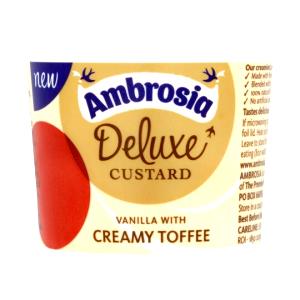 1 container (150 g) Custard Yogurt - Vanilla