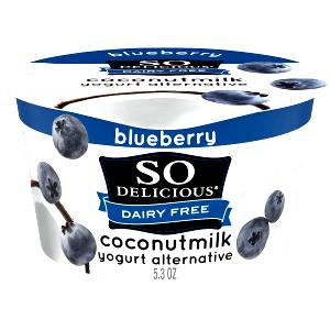 1 container (150 g) Dairy Free Yogurt Alternative Blueberry