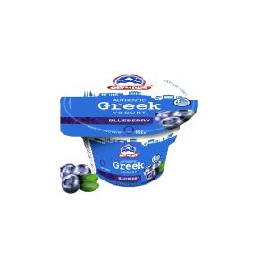 1 container (150 g) Greek Yogurt - Blueberry