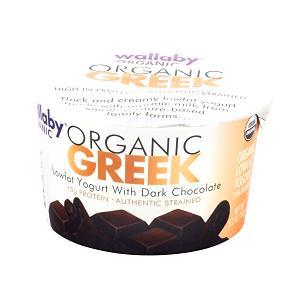 1 container (150 g) Organic Greek Lowfat Yogurt with Dark Chocolate