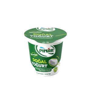 1 container (150 g) Probiotic Yogurt