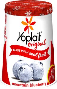 1 container (170 g) Blueberry Soy Yogurt