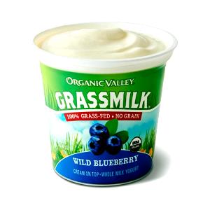 1 container (170 g) Grassmilk Wild Blueberry Yogurt
