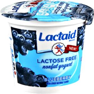 1 container (170 g) Lactose Free Blueberry Yogurt