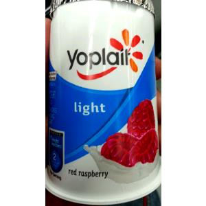 1 container (170 g) Original 99% Fat Free Yogurt - Red Raspberry