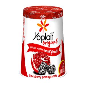 1 container (170 g) Probiotic Yogurt - Pomegranate Blackberry