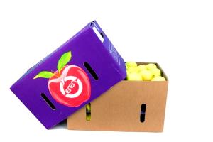 1 container (213 g) Turkey, Apple & Cranberry Wrap