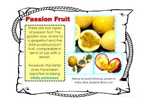 1 container (3.2 oz) IsoMetric - Exotic Fruits