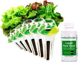1 container (382 g) Garden Salad Kit