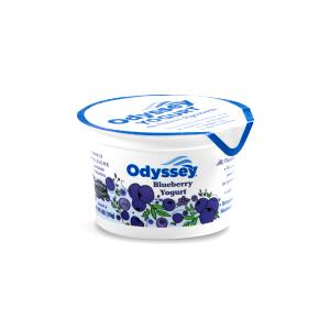1 container (4 oz) 2X Protein Greek Yogurt - Blueberry (4 oz)