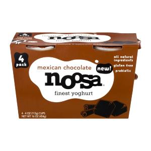 1 container (4 oz) Mexican Chocolate Yoghurt