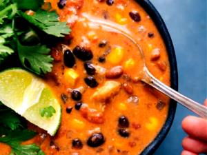 1 container (454 g) Chicken Tortilla Soup