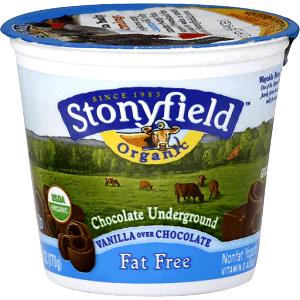 1 container (6 oz) Fat Free Chocolate Underground Yogurt