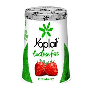 1 container (6 oz) Lactose Free Yogurt - Strawberry (6 oz)