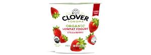 1 container (6 oz) Organic Fat Free Strawberry Yogurt
