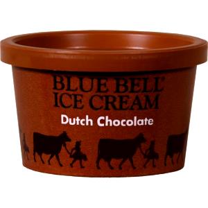 1 container (81 g) Dutch Chocolate Ice Cream