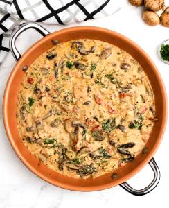 1 container Chicken Stroganoff (1200)
