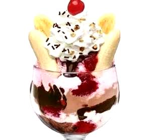 1 container Jim Dandy Sundae