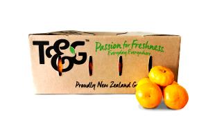 1 container Mandarins & Creme Fruit Parfait