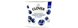 1 container Organic Lowfat Blueberry Yogurt