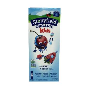 1 Container Yogurt, Yokids Squeezers, Berry Blitz & Chillin