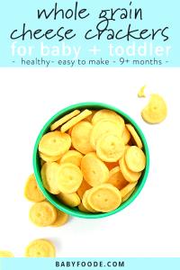 1 Cracker Baby Food Crackers