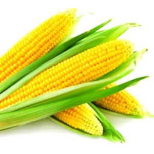 1 Cubic Inch Baked Corn Pone