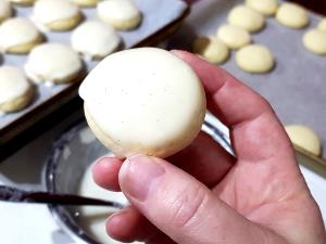 1 Cubic Inch Biscotti Cookie (Italian Sugar Cookie)