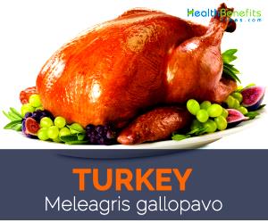 1 Cubic Inch Boneless, Cooked, Skin Removed Turkey Wing (Skin Not Eaten)