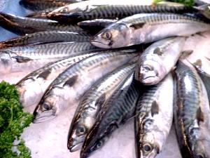 1 Cubic Inch Boneless Salted Mackerel