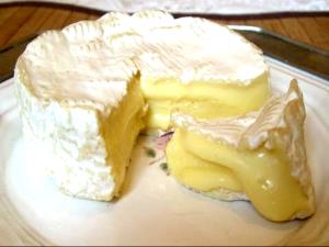 1 Cubic Inch Camembert Cheese