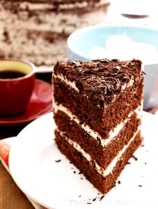 1 Cubic Inch Chocolate Chiffon Cake with Icing
