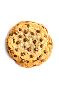 1 Cubic Inch Chocolate Chip Cookie