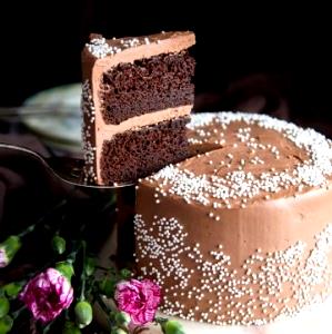 1 Cubic Inch Chocolate Frozen Yogurt and Cake Layer with Icing