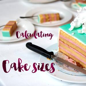 1 Cubic Inch Torte Cake