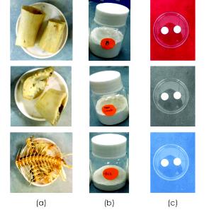 1 Cubic Inch, With Bone (yield After Bone Removed) Steamed or Poached Eel