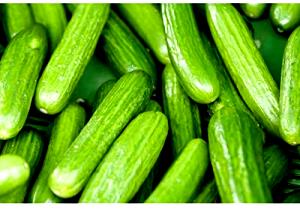 1 cucumber (4 oz) Persian Cucumber