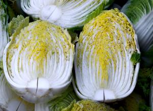 1 Cup (109.0 G) Napa Cabbage, cooked