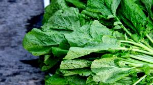 1 Cup (128.0 G) Mustard Cabbage