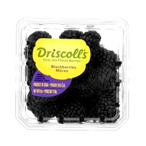 1 cup (140 g) Organic Bagged Fruits - Blackberries