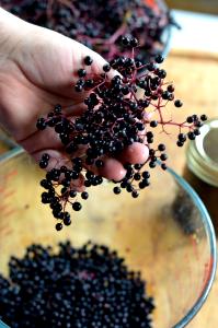 1 Cup (145.0 G) Elderberries
