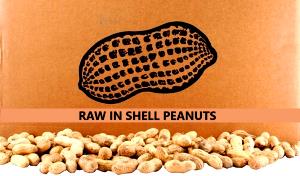 1 Cup (146.0 G) Virginia Peanuts, raw