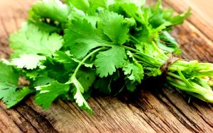 1 Cup (16.0 G) Coriander Leaves, raw