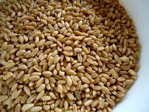 1 Cup (192.0 G) White Wheat