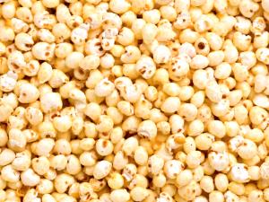 1 Cup (21.0 G) Millet, puffed