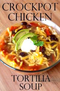 1 cup (234 g) Chicken Tortilla Soup