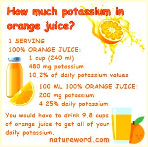 1 cup (240 ml) 100% Orange Juice