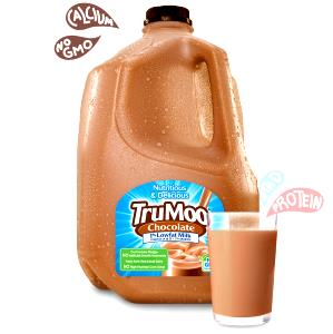 1 cup (240 ml) Cool Moos 1% Lowfat Chocolate Milk