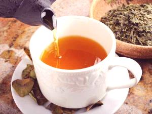 1 cup (240 ml) Diet Green Tea