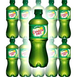 1 cup (240 ml) Ginger Ale